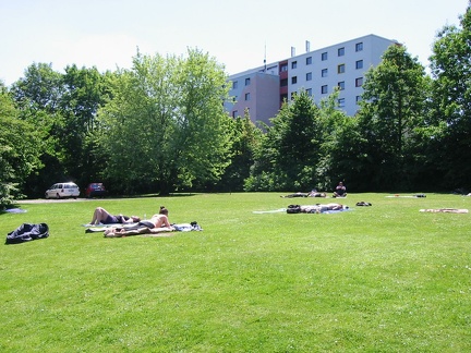 Flop_bild_079