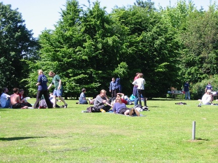 Flop_bild_086