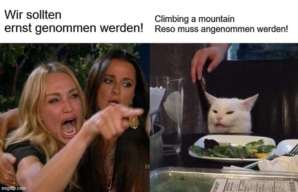 meme cat climbingamountain